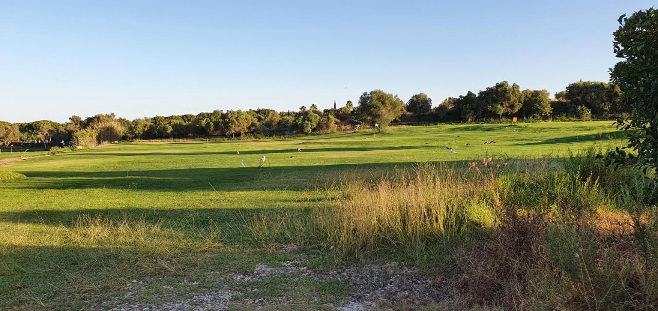 Apt P209 Situe Au Sein De Balaia Golf Village Albufeira Exteriör bild