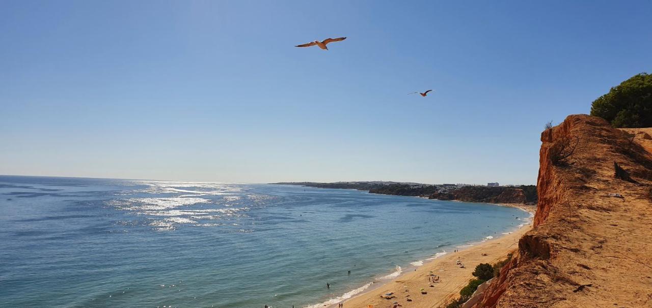 Apt P209 Situe Au Sein De Balaia Golf Village Albufeira Exteriör bild